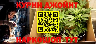 сатива Апшеронск