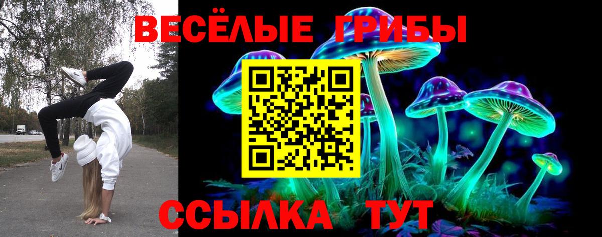 Псилоцибиновые грибы прущие грибы  Псилоцибиновые грибы Psilocybine cubensis  Будённовск  Вход с VPN 