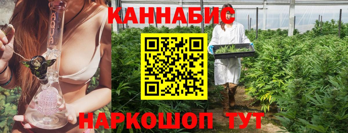 Канабис конопля  Вход с VPN  Будённовск  Бошки Шишки конопля  Конопля сатива 